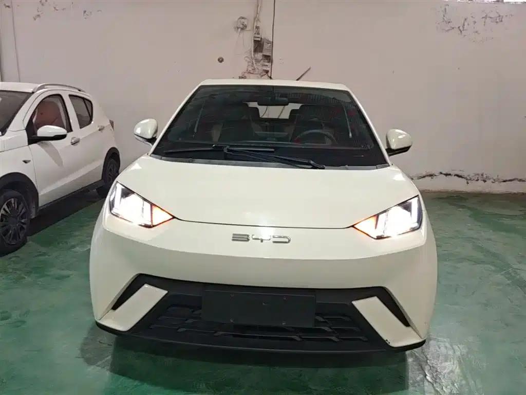Seagull 2023 Vitality Edition — миниатюра 3