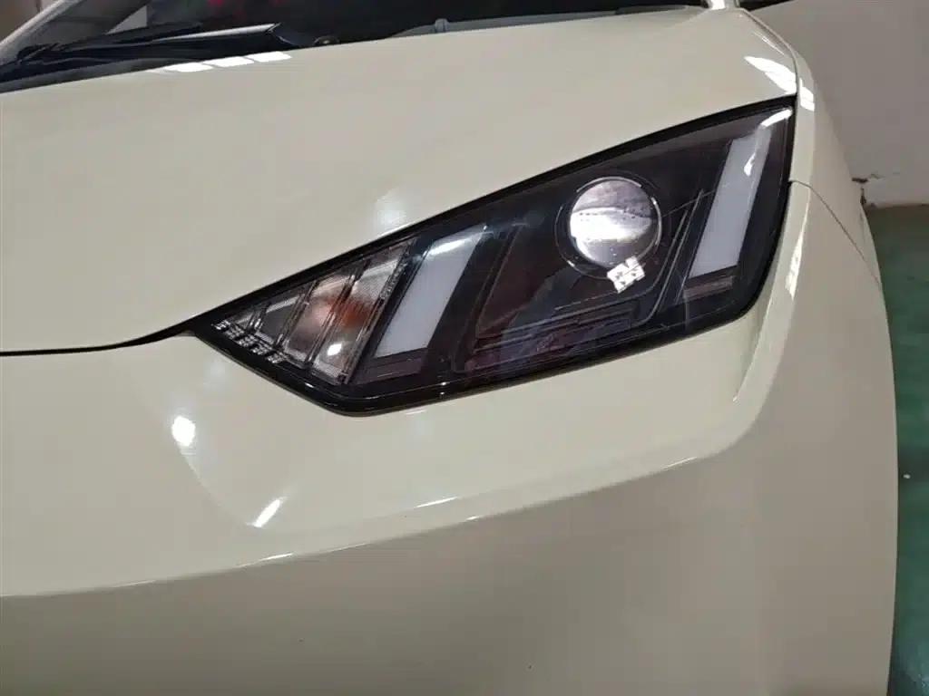 Seagull 2023 Vitality Edition — миниатюра 24