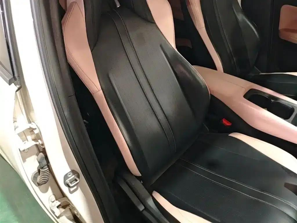 Seagull 2023 Vitality Edition — миниатюра 25