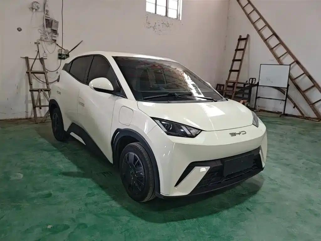 Seagull 2023 Vitality Edition — миниатюра 4