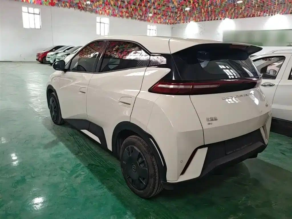 Seagull 2023 Vitality Edition — миниатюра 5