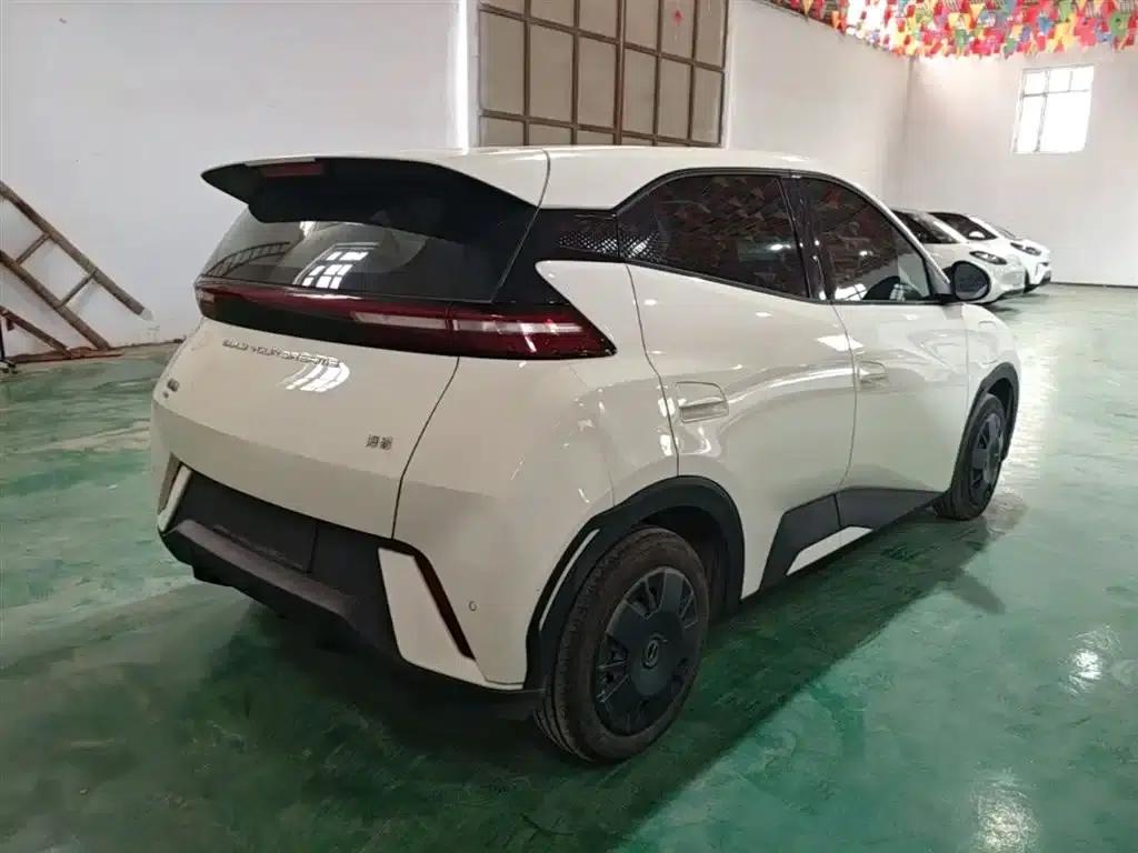 Seagull 2023 Vitality Edition — миниатюра 7