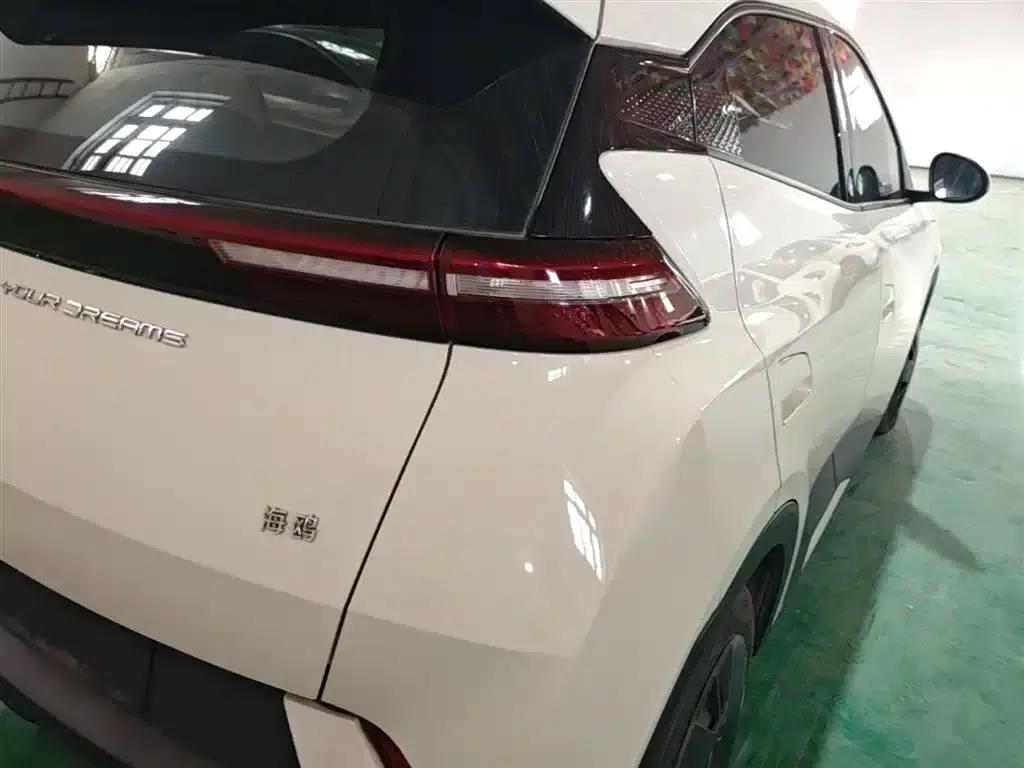 Seagull 2023 Vitality Edition — миниатюра 8