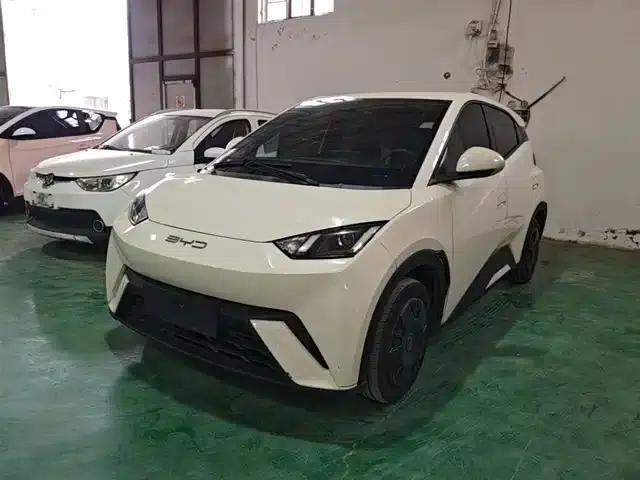 Seagull 2023 Vitality Edition