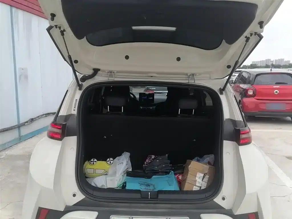 Seagull 2025 Smart Driving Edition 305km Vitality Edition — миниатюра 19