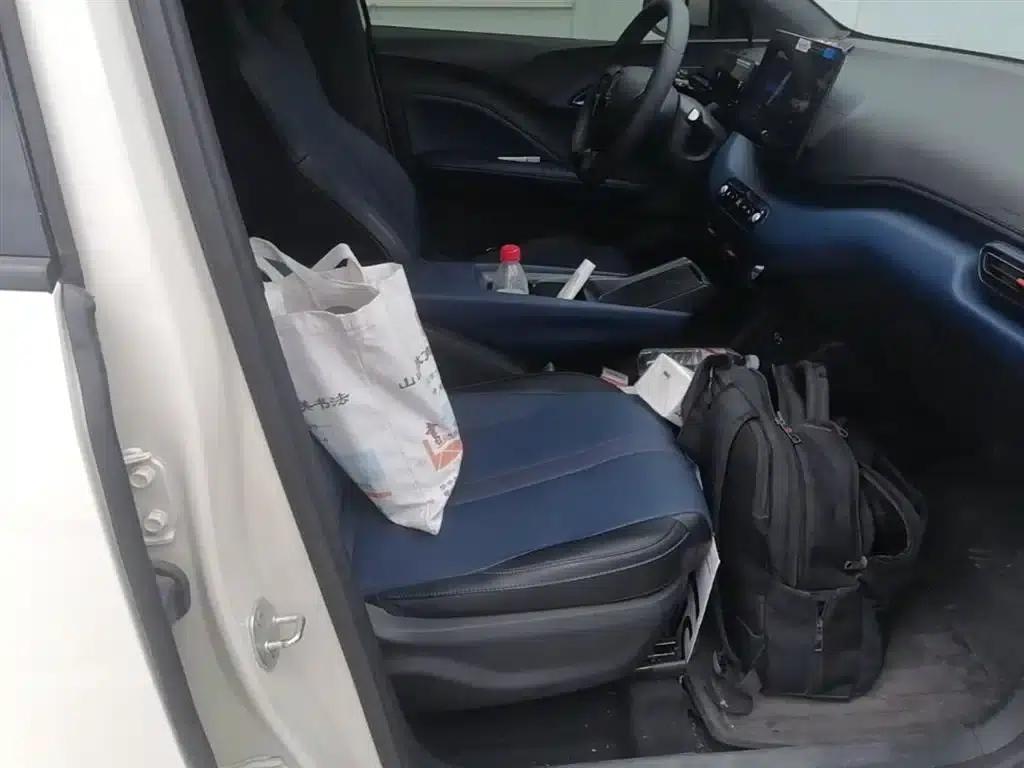 Seagull 2025 Smart Driving Edition 305km Vitality Edition — миниатюра 25