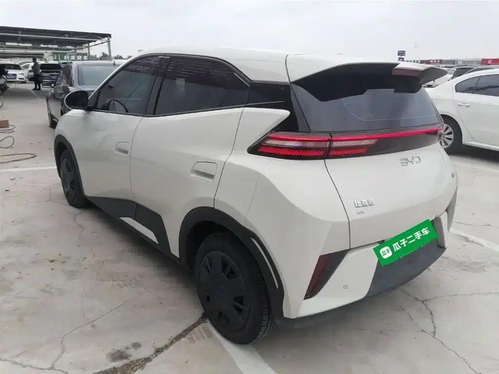 Seagull 2025 Smart Driving Edition 305km Vitality Edition — миниатюра 5