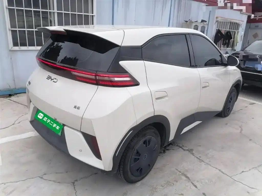 Seagull 2025 Smart Driving Edition 305km Vitality Edition — миниатюра 7