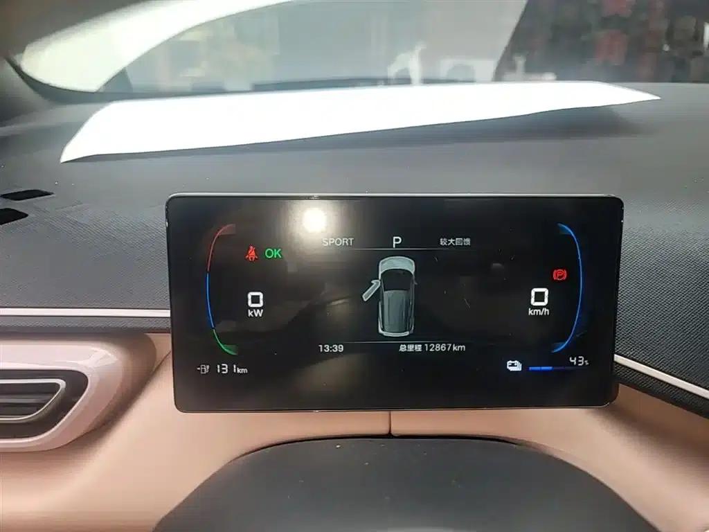 Seagull 2025 305km/h Dynamic Edition — миниатюра 12
