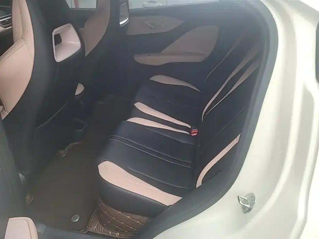 Seagull 2025 305km/h Dynamic Edition — миниатюра 17