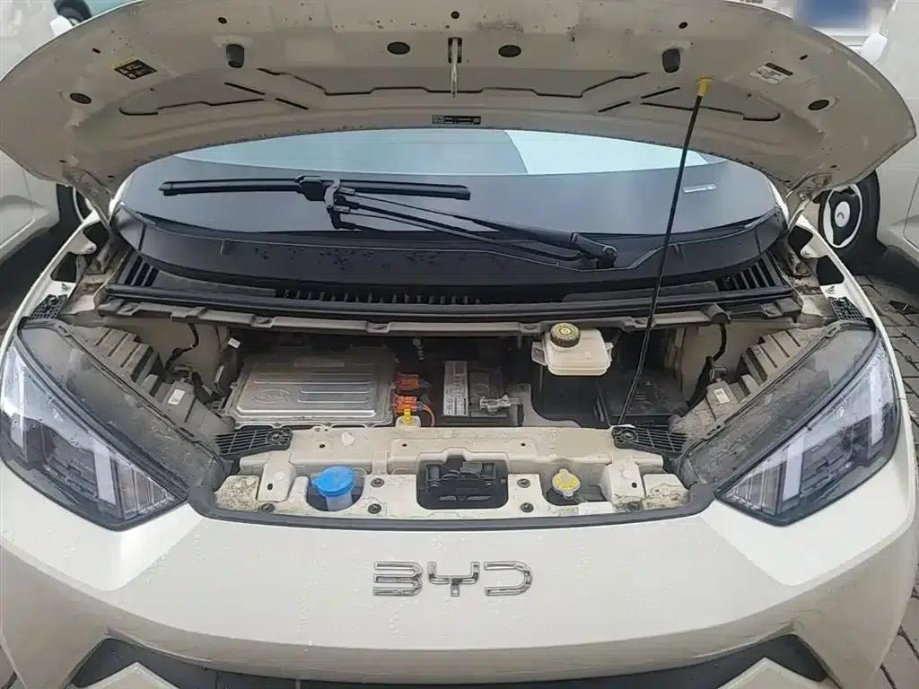 Seagull 2025 305km/h Dynamic Edition — миниатюра 20