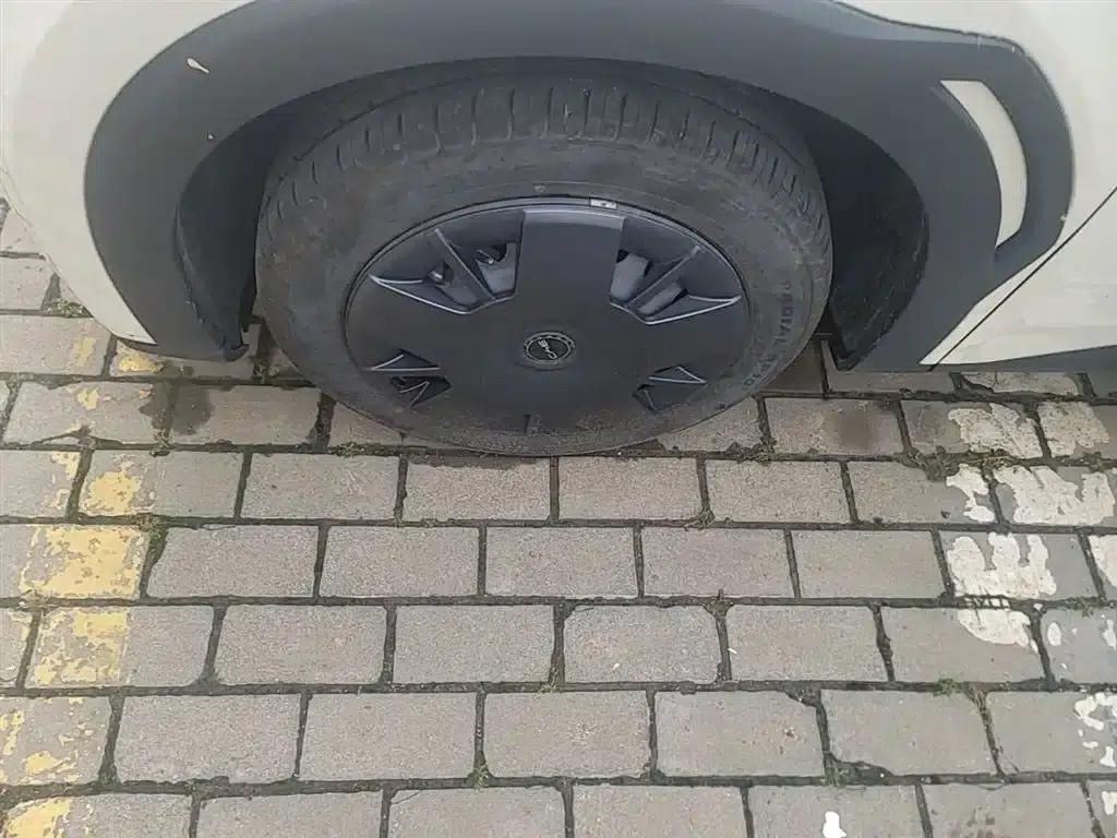 Seagull 2025 305km/h Dynamic Edition — миниатюра 23
