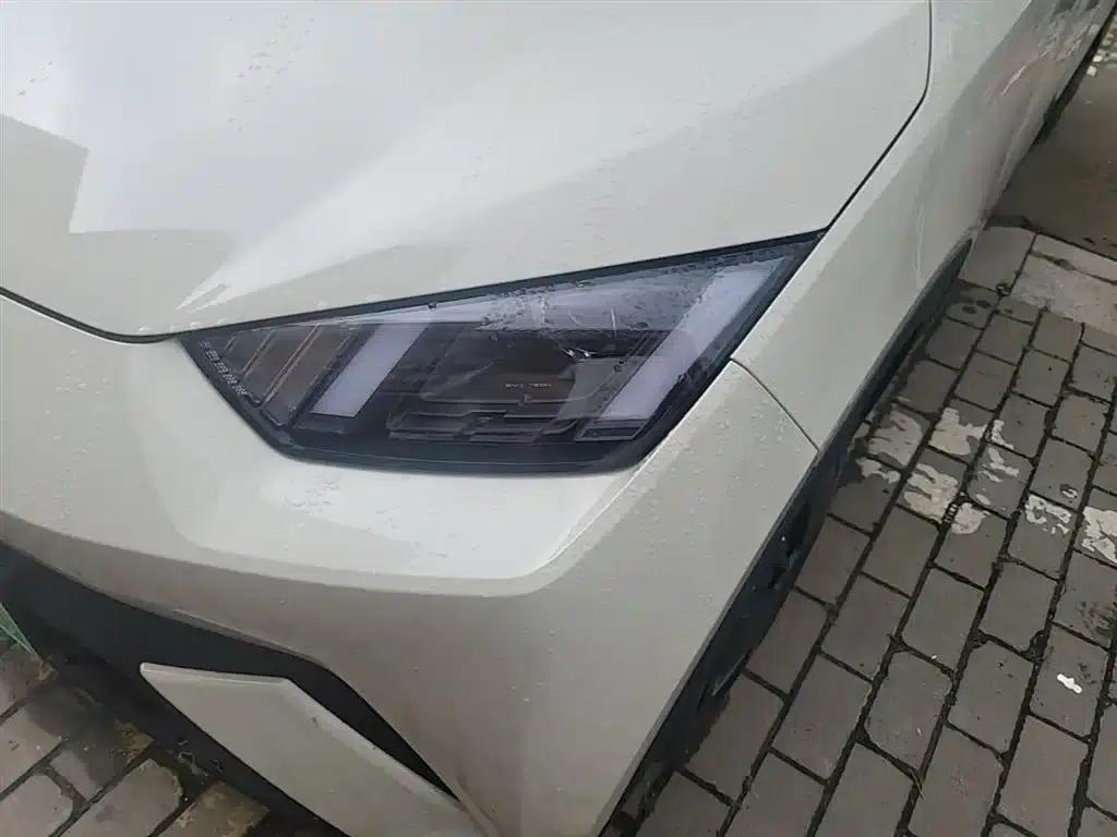 Seagull 2025 305km/h Dynamic Edition — миниатюра 24