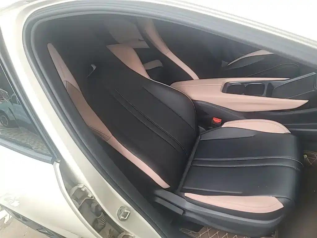 Seagull 2025 305km/h Dynamic Edition — миниатюра 25