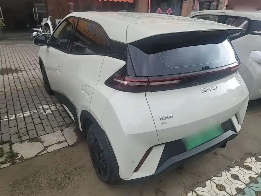 Seagull 2025 305km/h Dynamic Edition — миниатюра 5