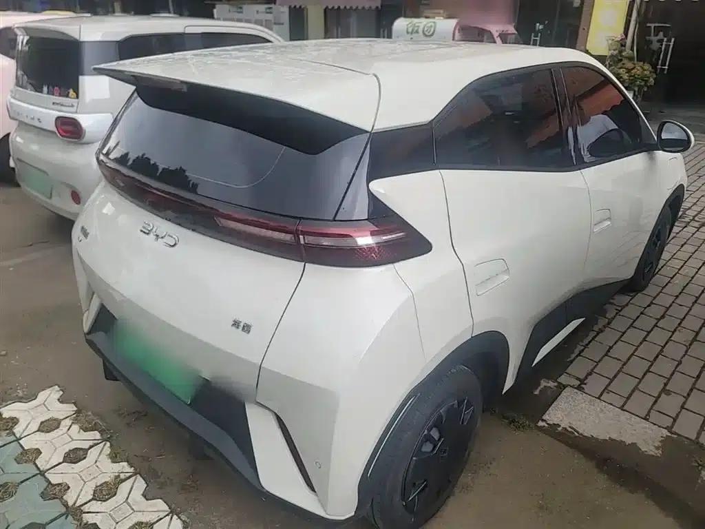 Seagull 2025 305km/h Dynamic Edition — миниатюра 7
