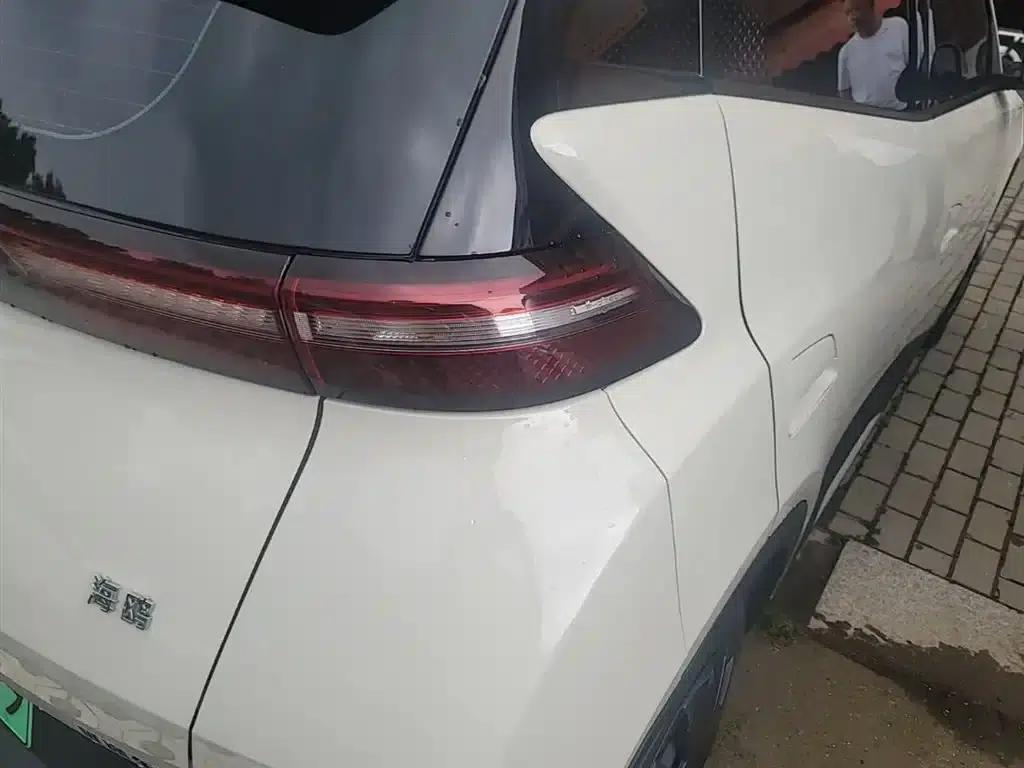 Seagull 2025 305km/h Dynamic Edition — миниатюра 8