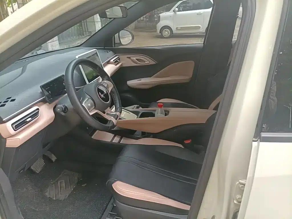 Seagull 2023 Freedom Edition — миниатюра 15