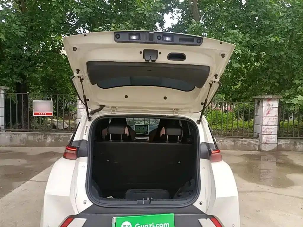 Seagull 2023 Freedom Edition — миниатюра 19