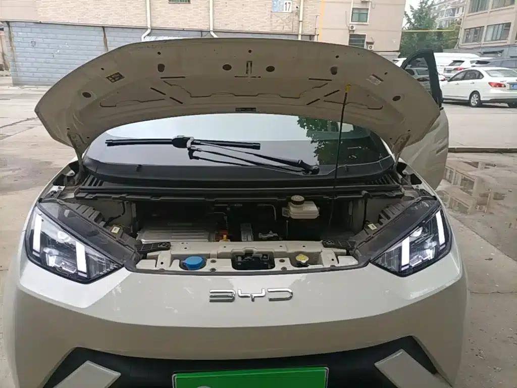 Seagull 2023 Freedom Edition — миниатюра 20