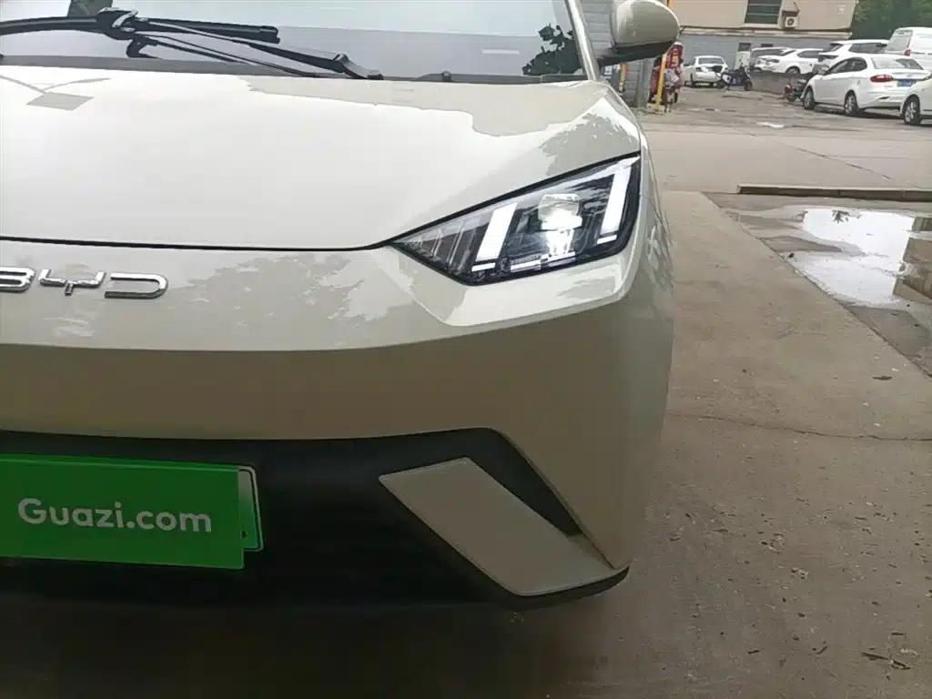 Seagull 2023 Freedom Edition — миниатюра 24