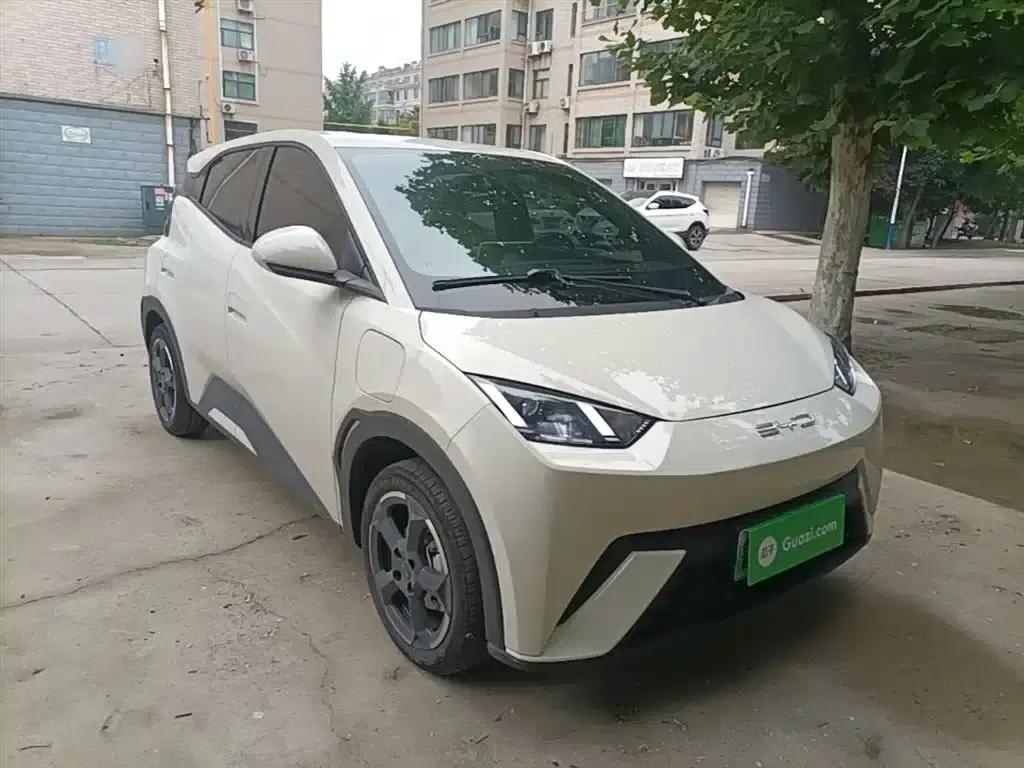 Seagull 2023 Freedom Edition — миниатюра 4