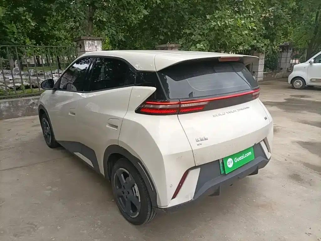 Seagull 2023 Freedom Edition — миниатюра 5
