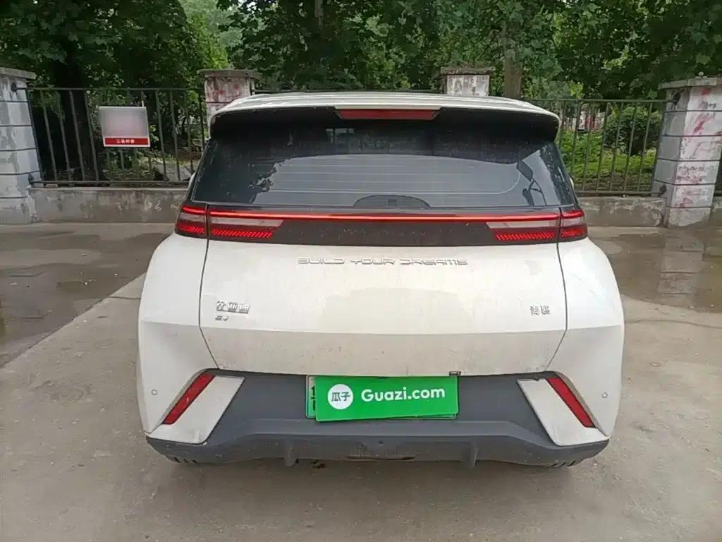 Seagull 2023 Freedom Edition — миниатюра 6