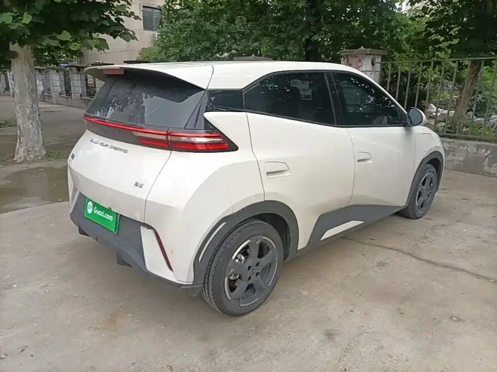 Seagull 2023 Freedom Edition — миниатюра 7