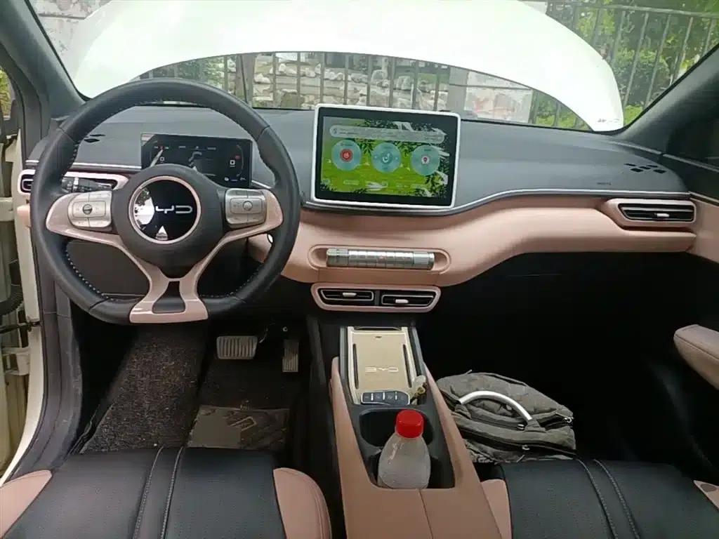 Seagull 2023 Freedom Edition — миниатюра 10