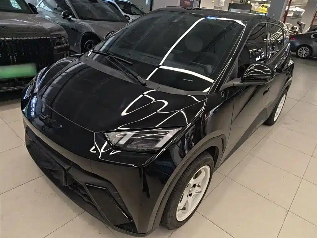 Seagull 2023 Freedom Edition — миниатюра 2