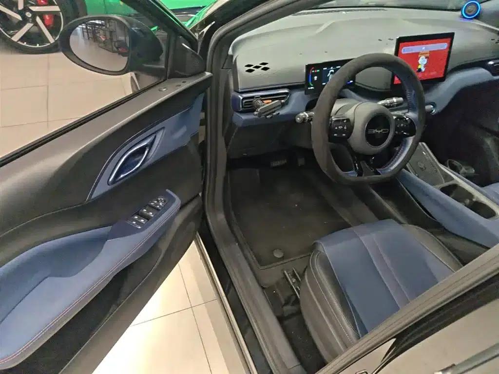 Seagull 2023 Freedom Edition — миниатюра 16
