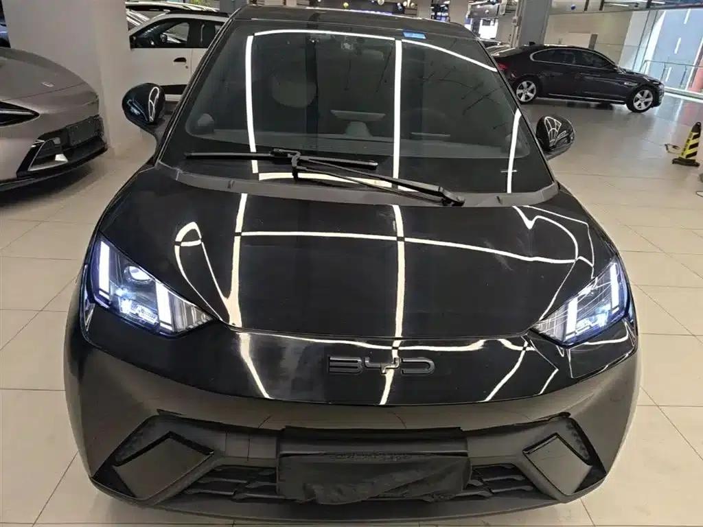 Seagull 2023 Freedom Edition — миниатюра 3