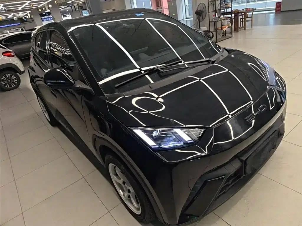 Seagull 2023 Freedom Edition — миниатюра 4