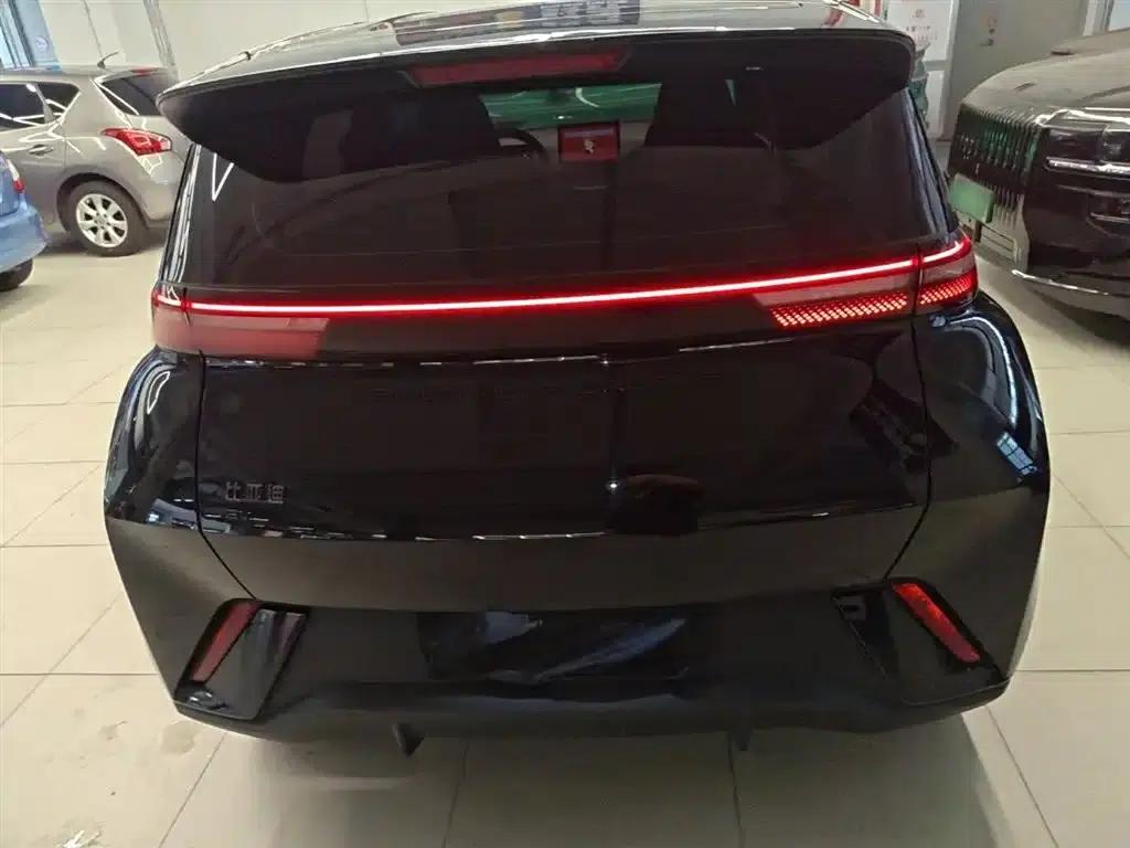 Seagull 2023 Freedom Edition — миниатюра 6