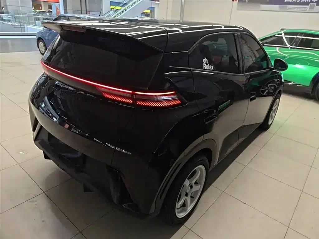 Seagull 2023 Freedom Edition — миниатюра 7