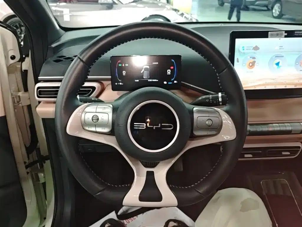 Seagull 2023 Freedom Edition — миниатюра 11