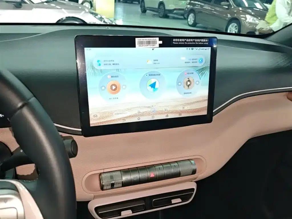 Seagull 2023 Freedom Edition — миниатюра 13