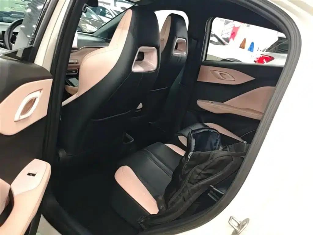 Seagull 2023 Freedom Edition — миниатюра 17