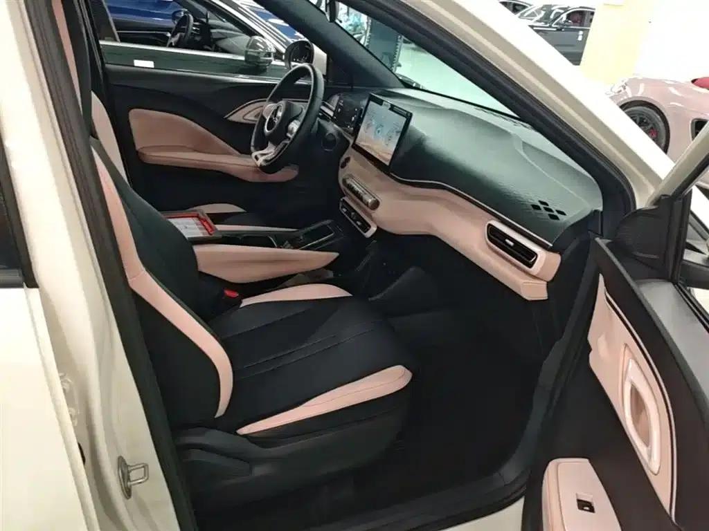 Seagull 2023 Freedom Edition — миниатюра 25