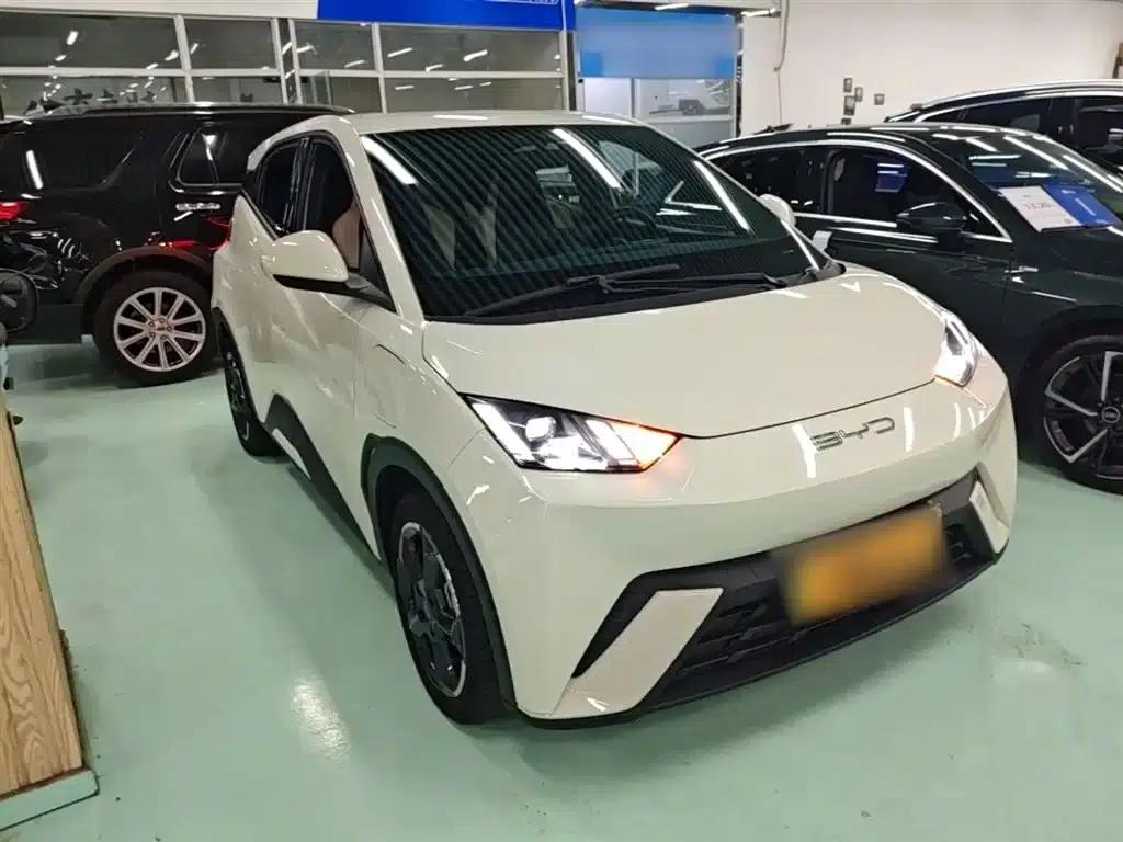 Seagull 2023 Freedom Edition — миниатюра 4