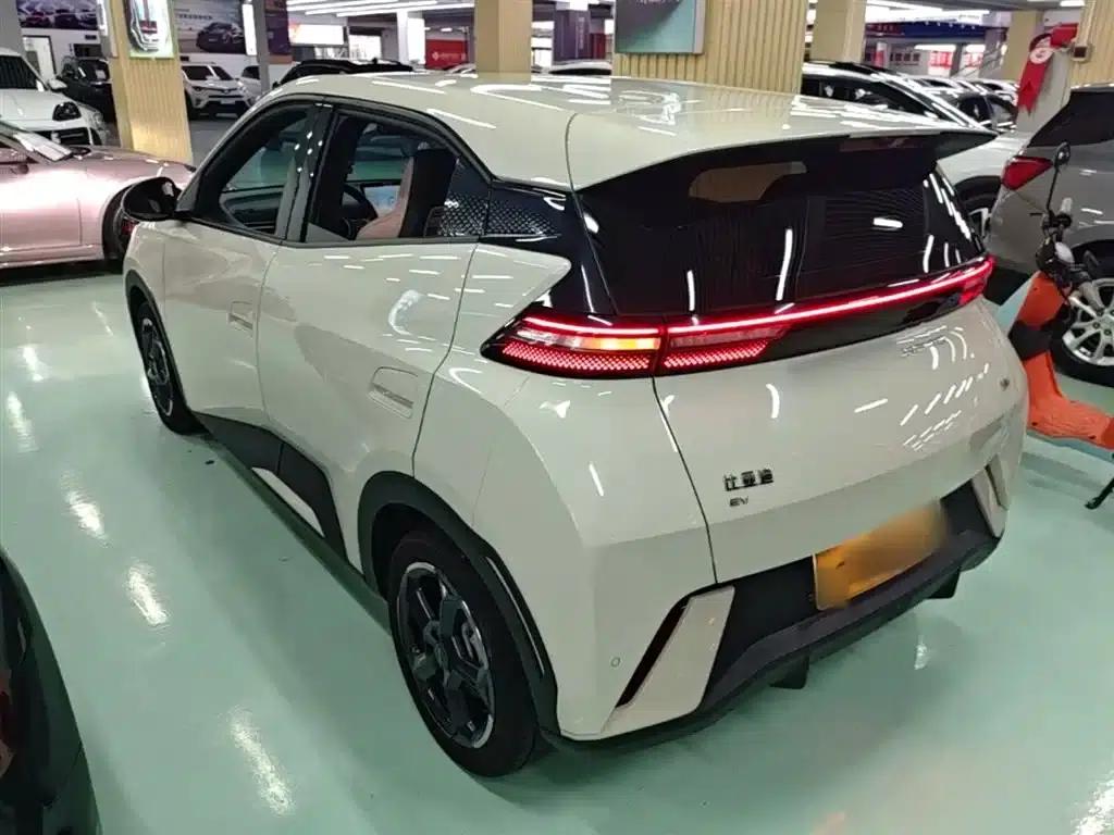 Seagull 2023 Freedom Edition — миниатюра 5