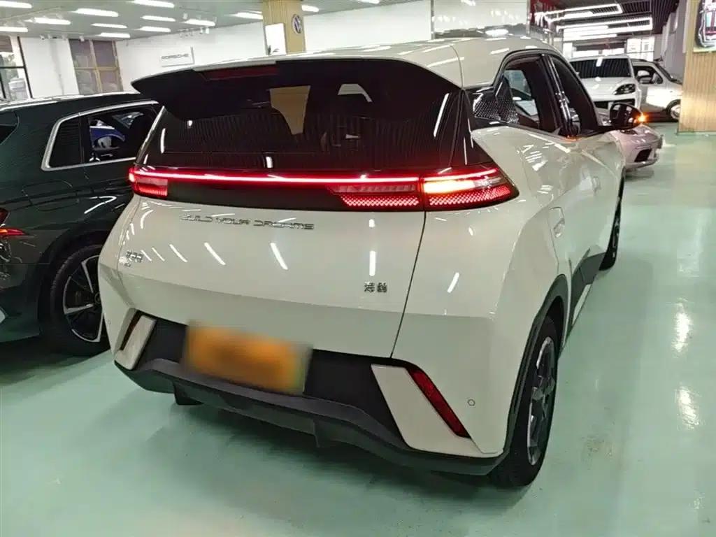 Seagull 2023 Freedom Edition — миниатюра 6