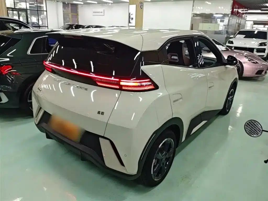Seagull 2023 Freedom Edition — миниатюра 7
