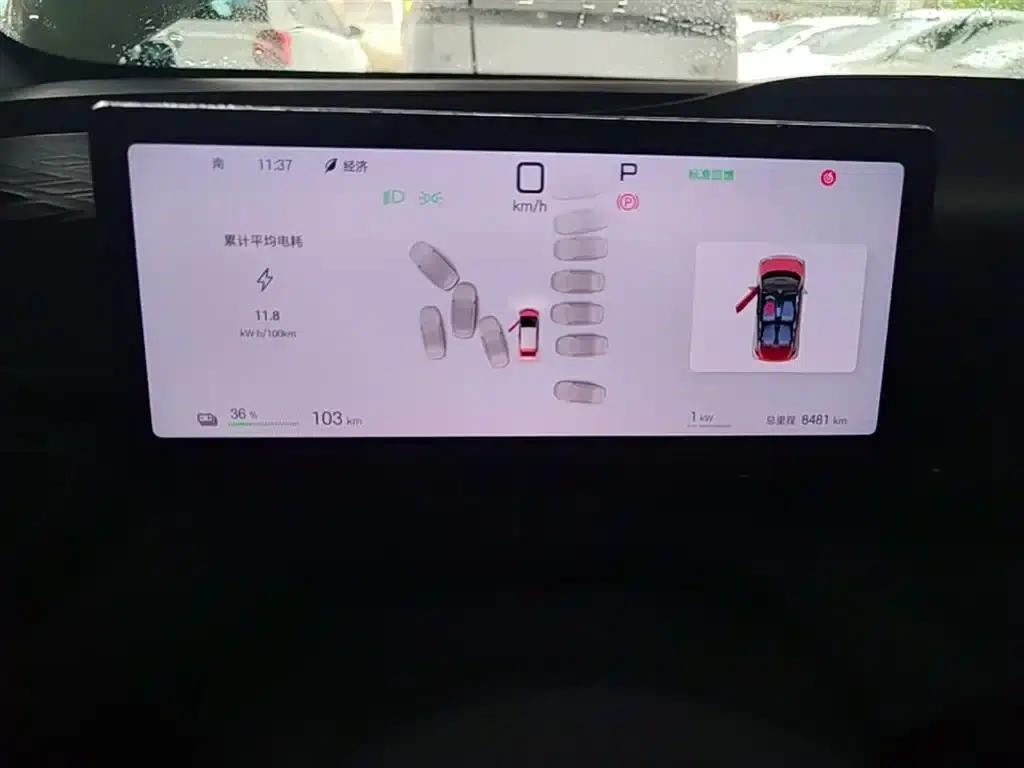 Seagull 2025 Smart Driving Edition 305km Freedom Edition — миниатюра 12
