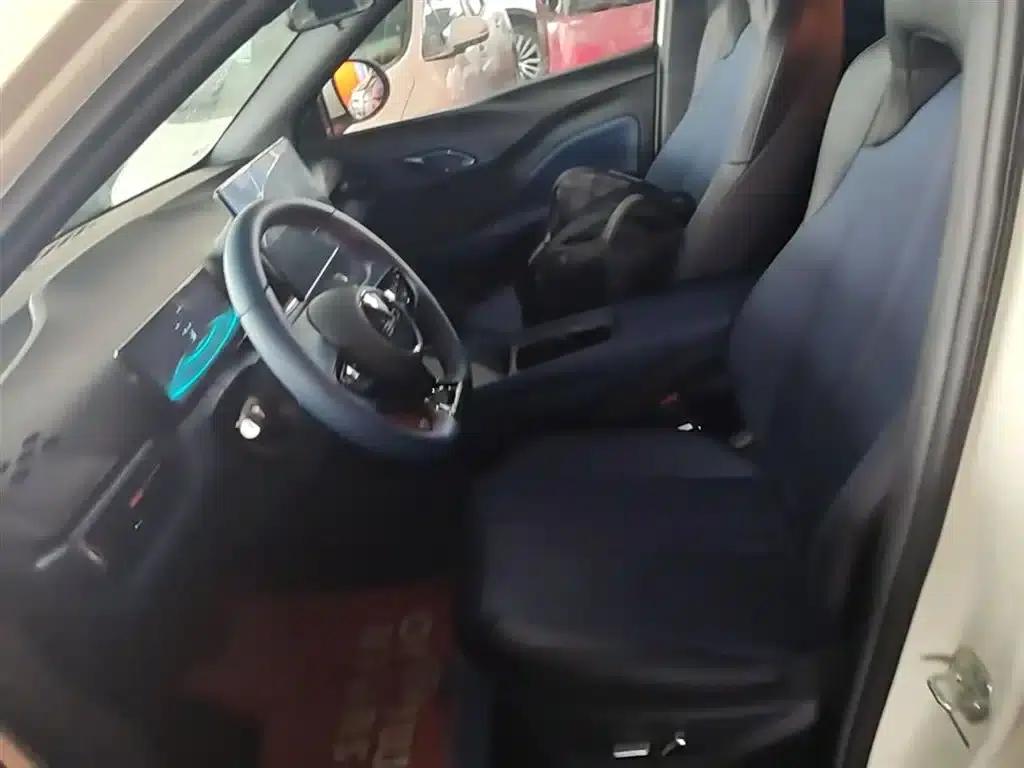 Seagull 2025 Smart Driving Edition 305km Freedom Edition — миниатюра 15