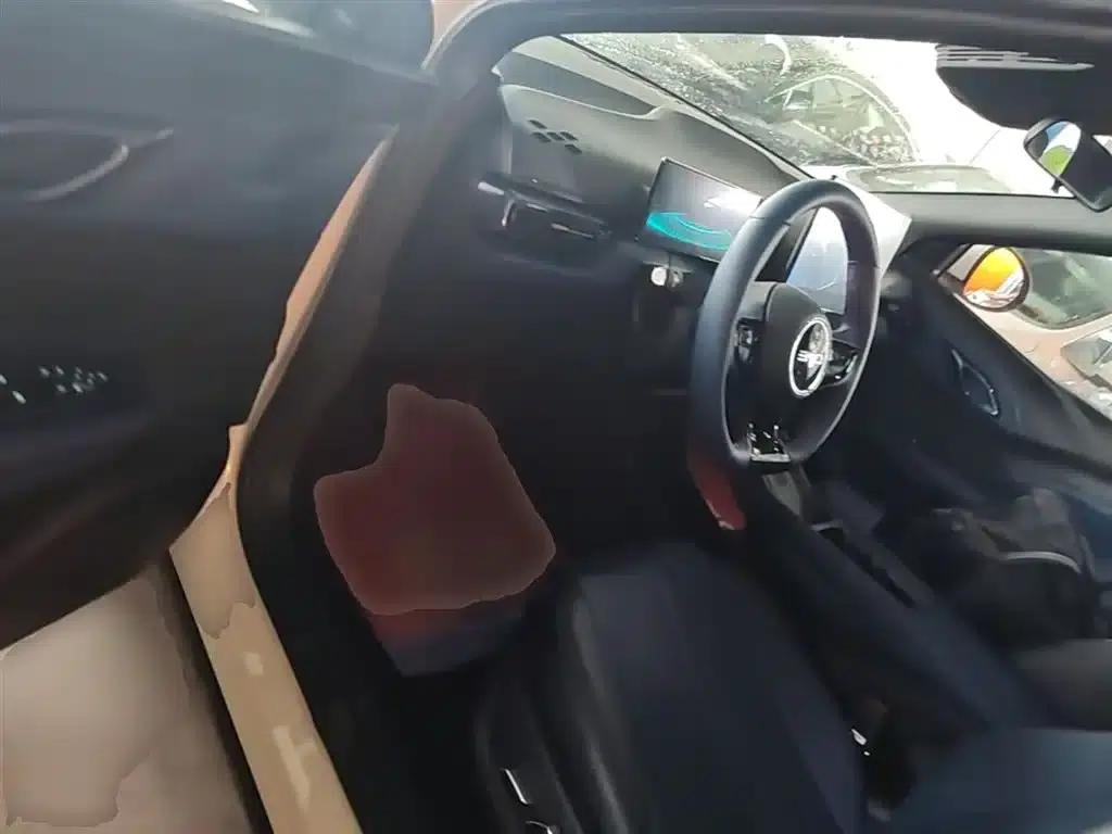 Seagull 2025 Smart Driving Edition 305km Freedom Edition — миниатюра 16