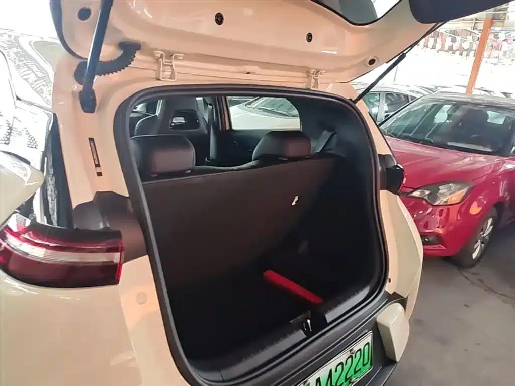 Seagull 2025 Smart Driving Edition 305km Freedom Edition — миниатюра 19