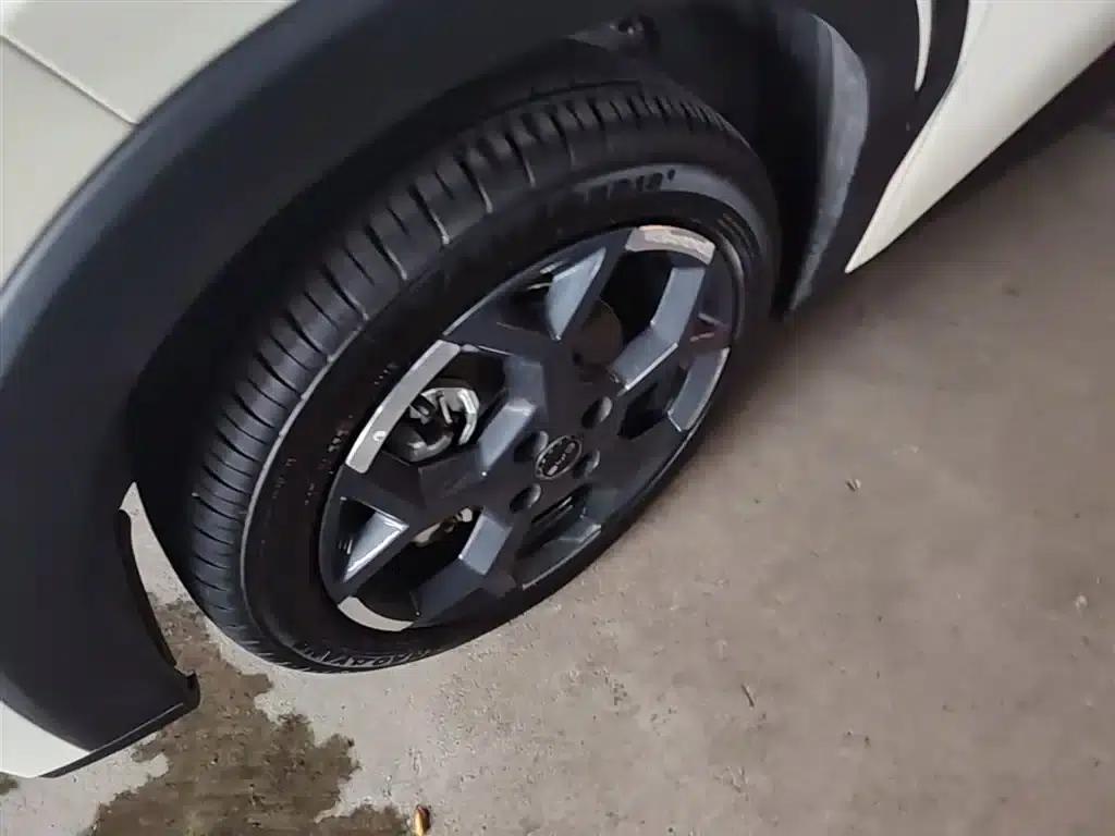 Seagull 2025 Smart Driving Edition 305km Freedom Edition — миниатюра 23