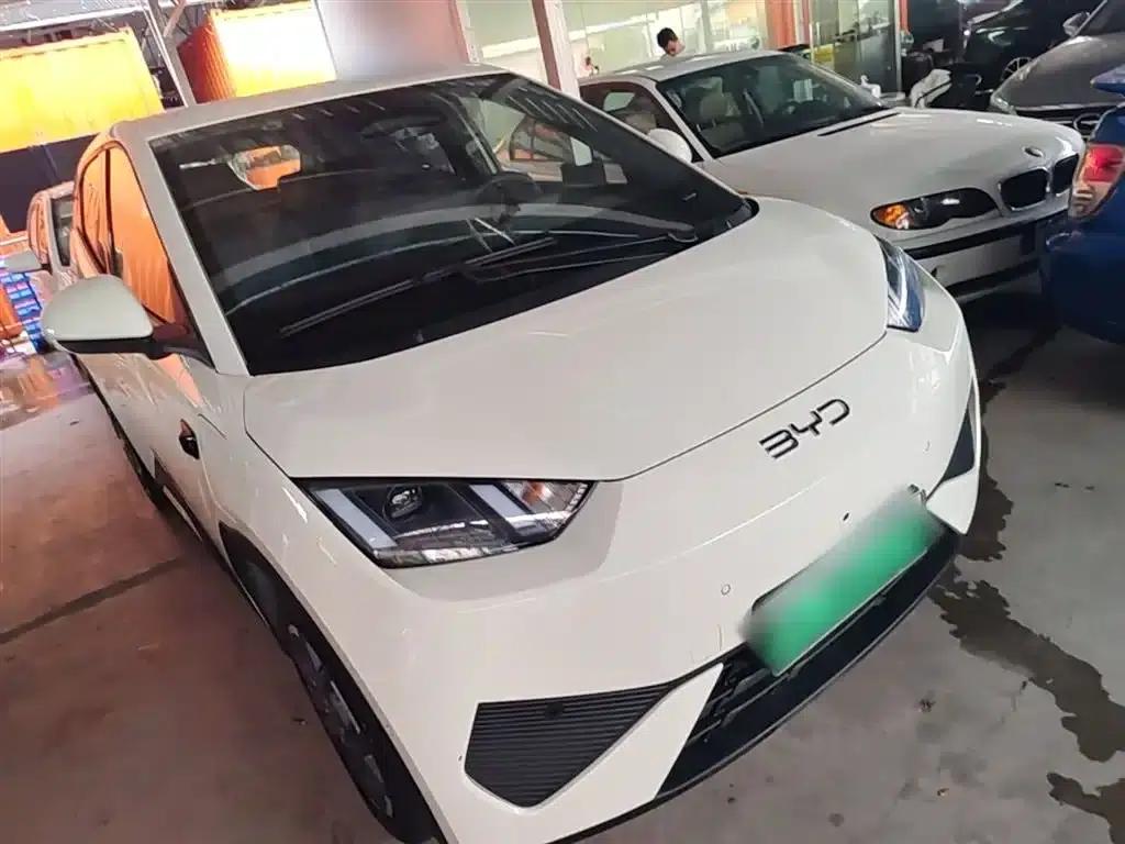 Seagull 2025 Smart Driving Edition 305km Freedom Edition — миниатюра 4